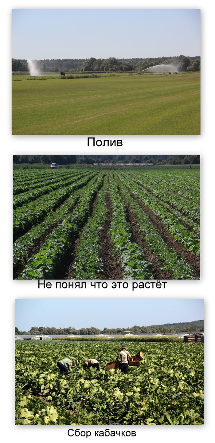 Поход выходного дня (ПВД). Турово - Ступино. День первый. Поход, Путешествия на выходные, Ока, Сенькин брод, Подмосковье, Длиннопост