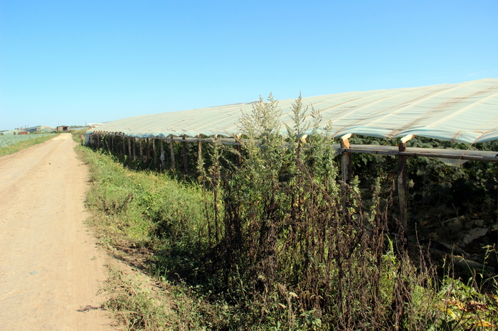 Поход выходного дня (ПВД). Турово - Ступино. День первый. Поход, Путешествия на выходные, Ока, Сенькин брод, Подмосковье, Длиннопост