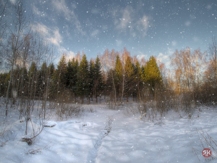 Winter's tale - My, The photo, Winter, Forest, Snow, Christmas trees, Path, Clouds, Olympus