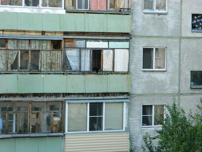 Find a photographer. - My, cat, Catomafia, Balcony, View from the window, Longpost