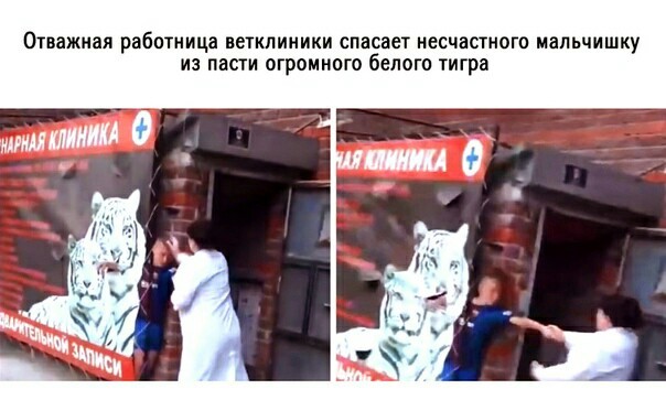 Ветеринар побила подростка за "испорченный" рекламный баннер. Избиение, Подростки, Барнаул, Ветеринар, Видео, Длиннопост