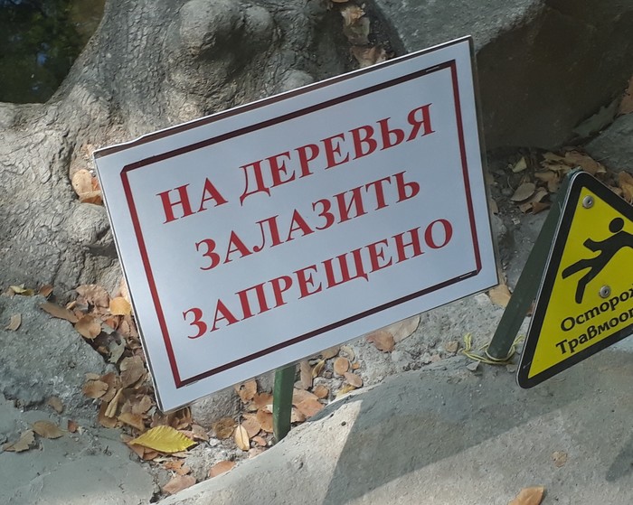 And don’t lay your hands down and don’t call on the phone ... - My, Crimea, Russian language, Literacy, Illiteracy, Verb, Error, We speak correctly