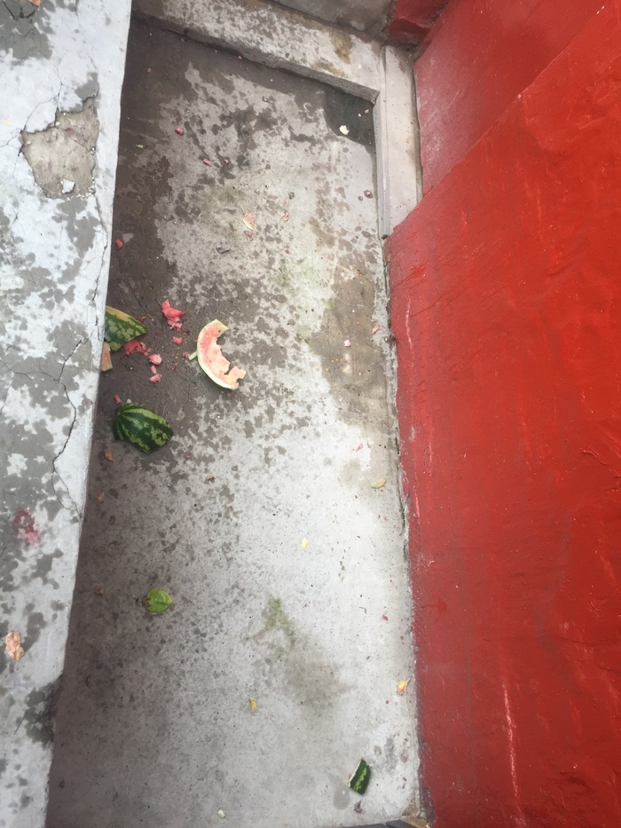 When a person has a watermelon instead of a head - My, Sick, Hooliganism, Watermelon, Garbage, Longpost