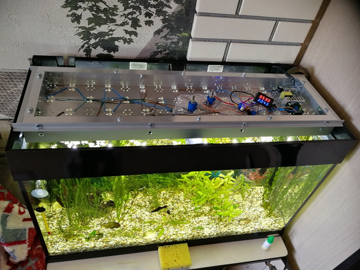 Освещение для аквариума своими руками (часть 2) Аквариум, Светодиоды, Своими руками, Arduino, Видео, Длиннопост