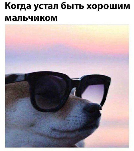 ���� ������ ���������