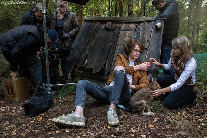 А почему зайцы?