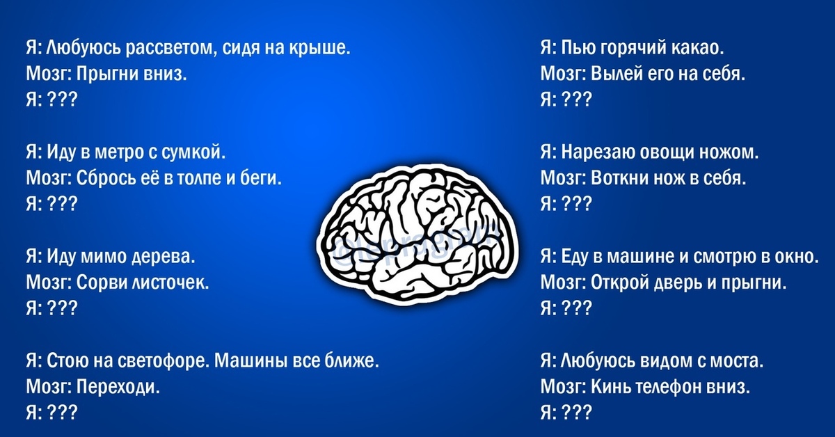 Курс мозг. Обнуление мозга. Мозгом любуюсь.