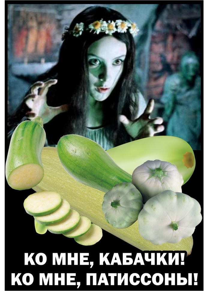 Fruitful Armageddon - My, Zucchini, Blanks, Autumn, Pannochka, Longpost