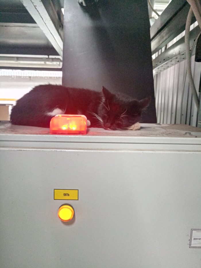 �������� ���������� �� ���������