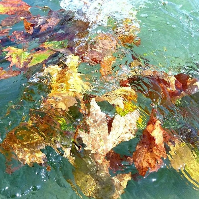 autumn leaves in waves - My, , Leaves, Leaf fall, Autumn leaves, The photo