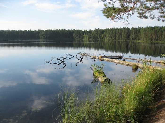 Пляжный отдых в марийском лесу или “долгая дорога в дюнах”. Марий Эл 12-19 августа 2018г. Часть 1. Путешествия, Туризм, Поход, Путешественники, Велосипед, Велосипедист, Путешествие по России, Длиннопост