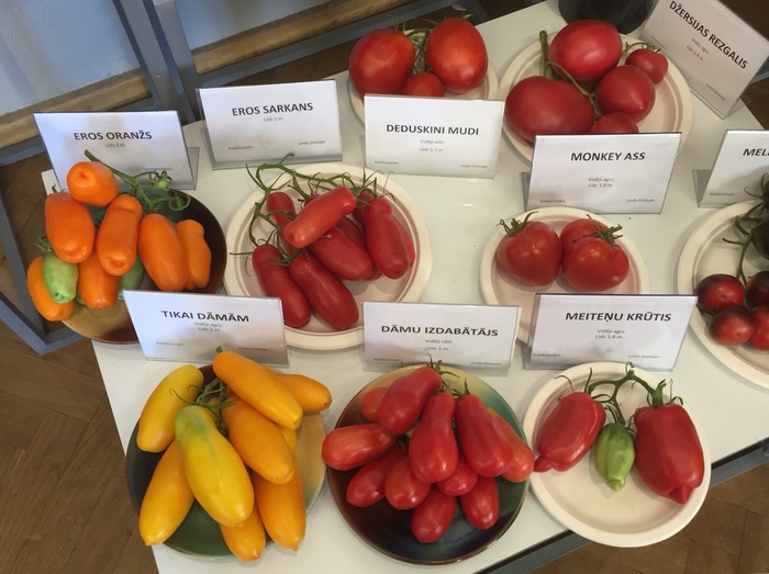 Latvian gardeners are such entertainers - Humor, Funny name, Tomatoes, Tomato, Exhibition