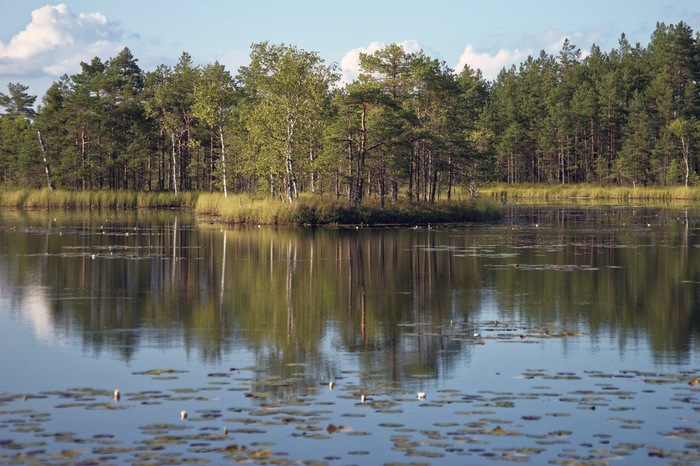 Мои фотографии природы Эстонии Фотография, Эстония, Природа, Длиннопост