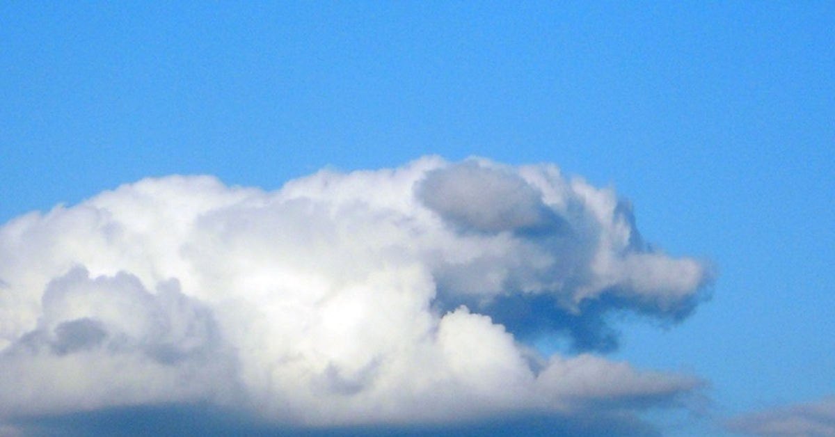 Облако казалось застыло. Облака похожие на животных. На что похоже облако. Облака в форме животных. Фигуры из облаков.