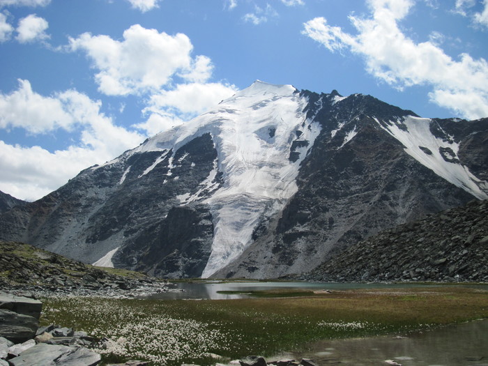 Casper has grown up - My, Casper, Altai, The mountains, Landscape, Altai Republic