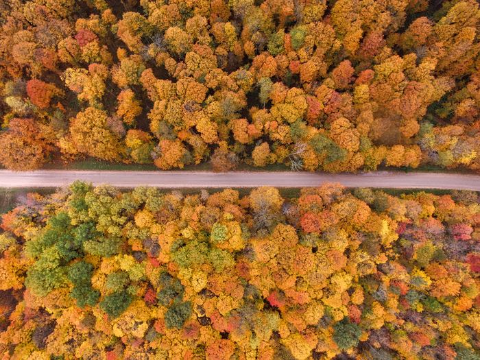 Autumn time - Autumn mood, Autumn, Images, The photo, Nature, Forest, Autumn leaves, Beautiful view, Longpost