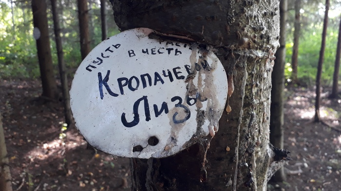 Сад памяти солдата Шахтарина Киров, Вятка, Великая Отечественная война, Сад памяти, Солдаты, Котельнич, Длиннопост