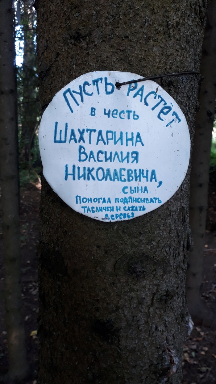 Сад памяти солдата Шахтарина Киров, Вятка, Великая Отечественная война, Сад памяти, Солдаты, Котельнич, Длиннопост