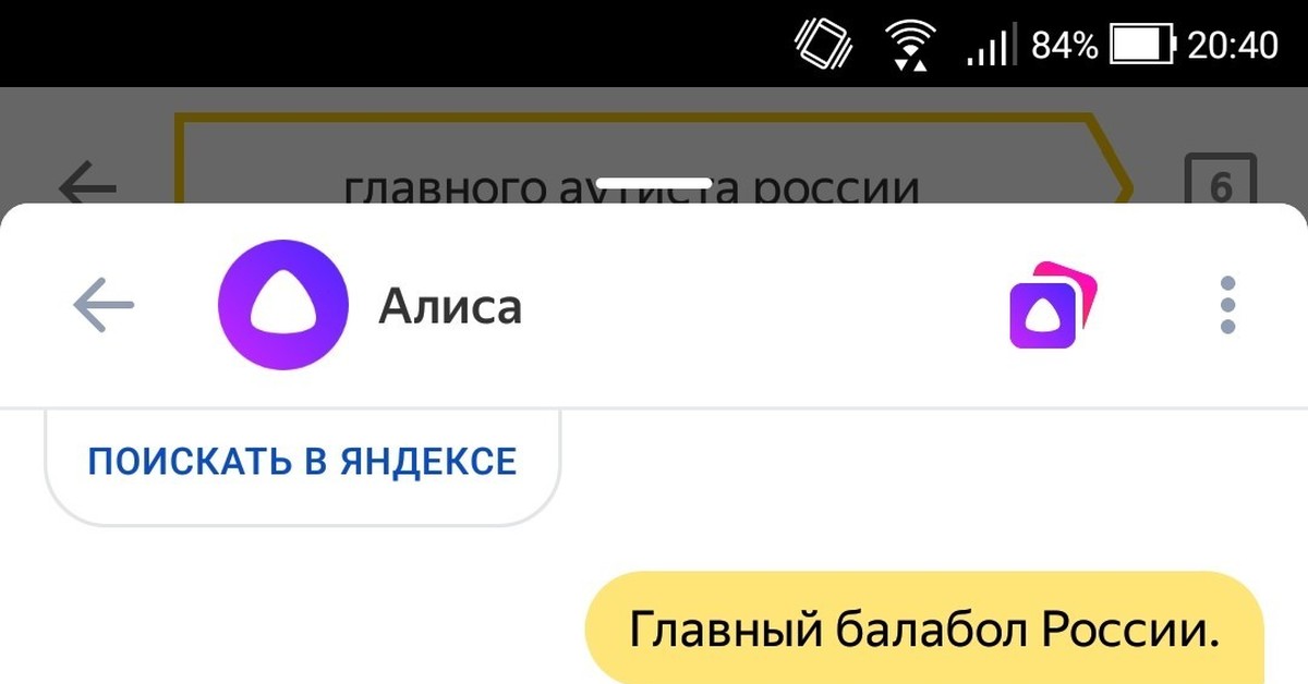 Как сбросить алису. Алиса ты в Яндексе. Алиса Яндекс скрины. Алиса поищи в Яндексе. Алиса и Яндекс любовь.