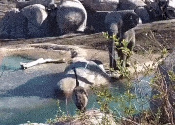 - Отстань, я женат!