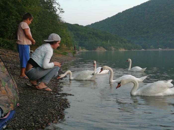 какие рыбы водятся в озере абрау дюрсо. Смотреть фото какие рыбы водятся в озере абрау дюрсо. Смотреть картинку какие рыбы водятся в озере абрау дюрсо. Картинка про какие рыбы водятся в озере абрау дюрсо. Фото какие рыбы водятся в озере абрау дюрсо