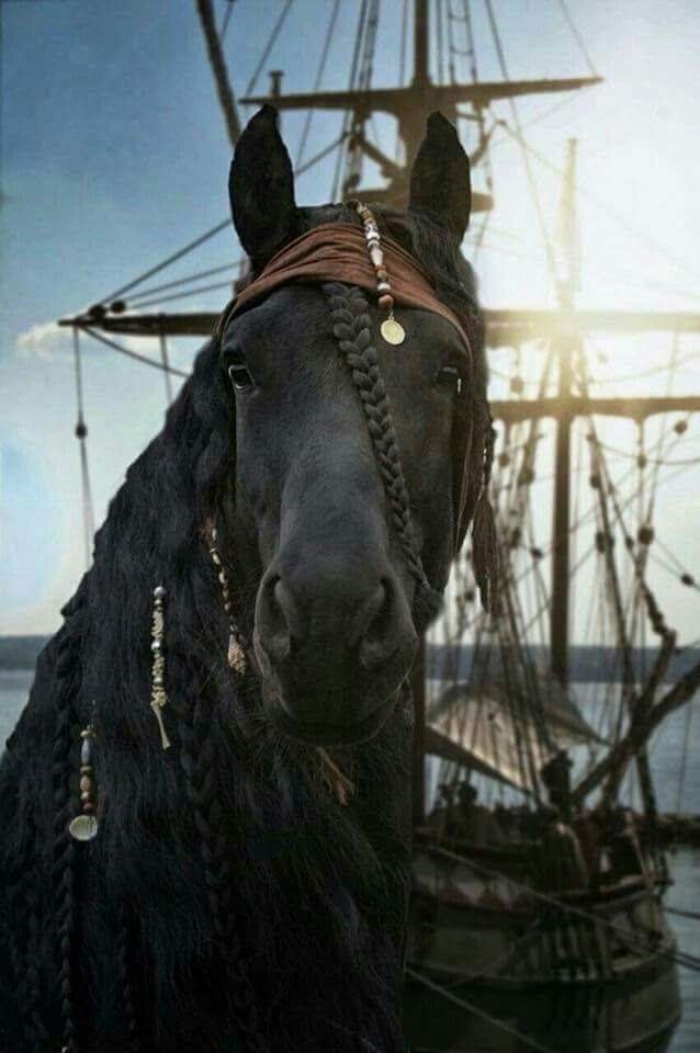 Jack Sparrow is no longer the same - Captain Jack Sparrow, Cosplay