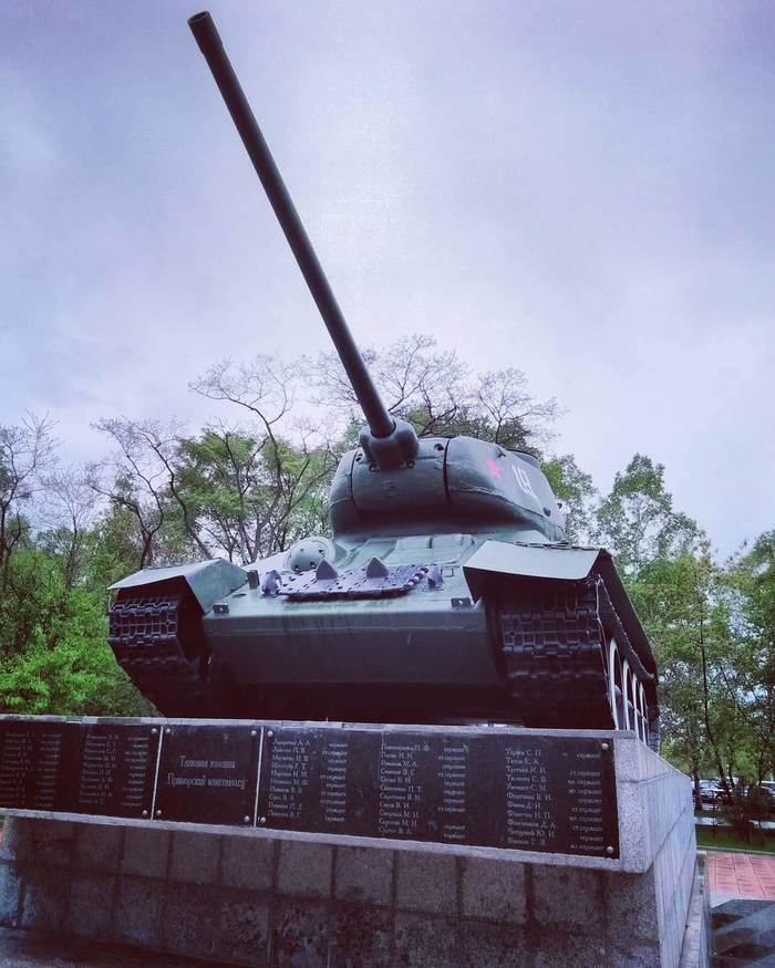 Tank with a surprise - My, The photo, Tanks, Rain, Shelter, Milota, Quack quack, Positive, Vladivostok, Longpost