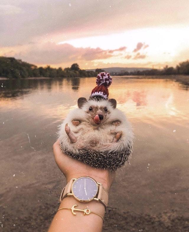 Великолепный вид