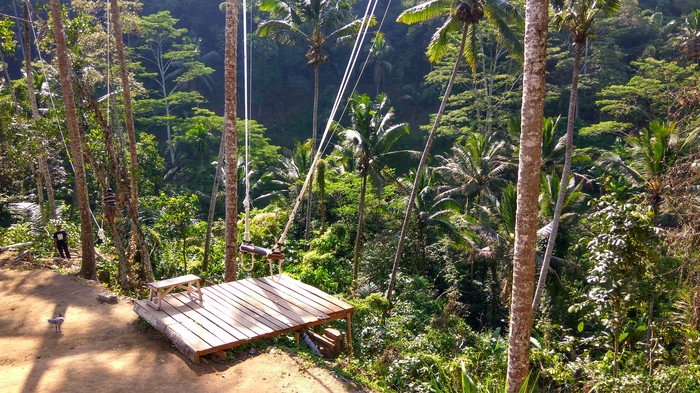 jungle swing - My, Bali, Swing, Extreme