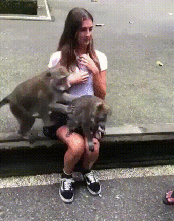 Фото с обезьянкой