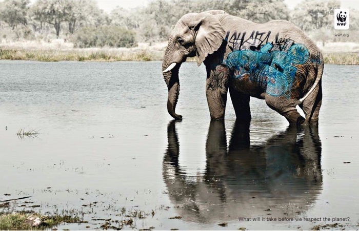 Advertisement for the World Wildlife Fund. - Nature, Advertising, Animals, From the network