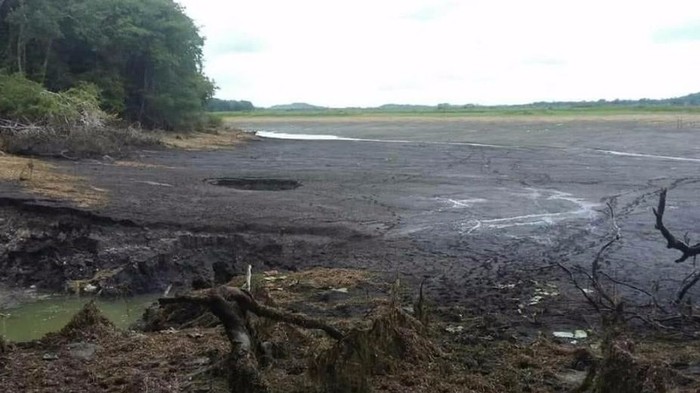 В Мексике за сутки исчезло 50 гектаров водоема - Мексика, Природа, Текст, Явление, Природные катаклизмы