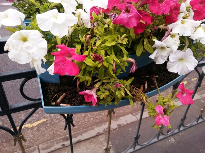 Вот почему я не люблю курящих людей.