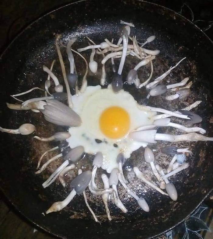 Аллегория или метафора ?