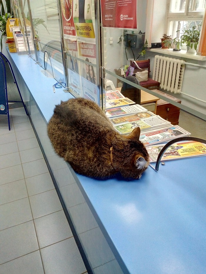 ��������� ��������� �����