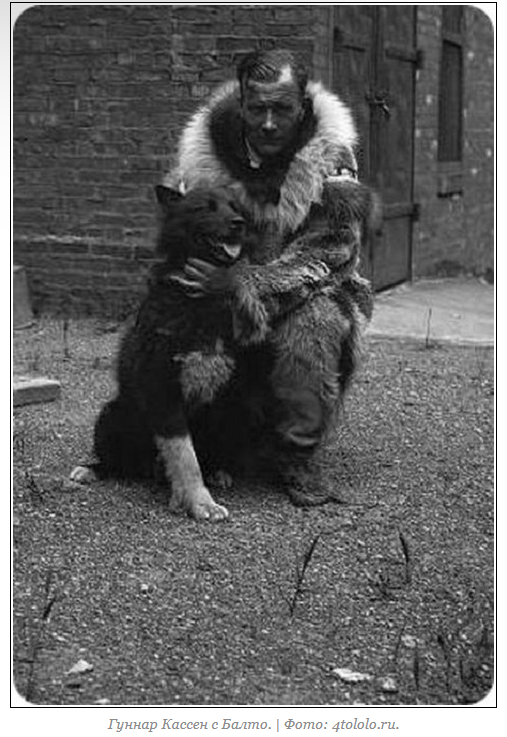 Balto or true fame - Baltic, Dog, Longpost, Text, Diphtheria, Alaska