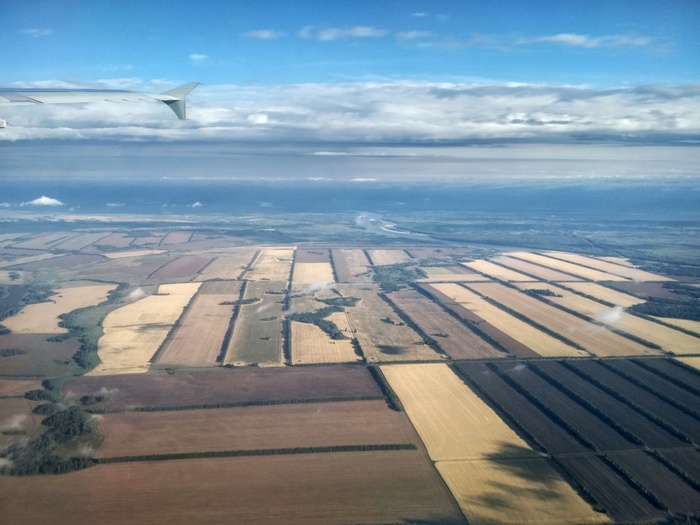 agricultural geometry - My, The photo, 