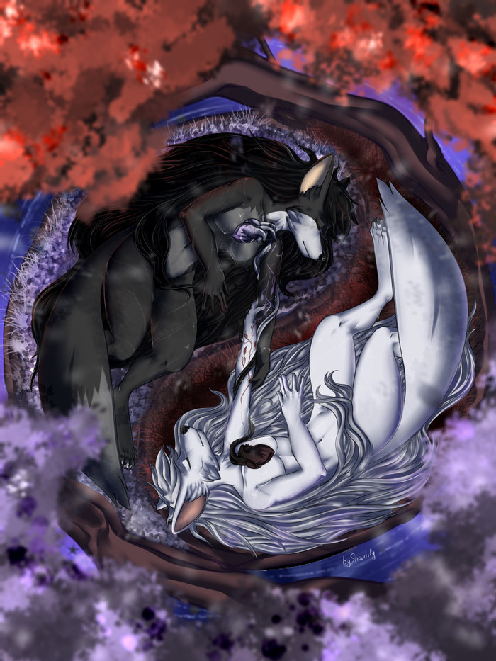 Yin-Yang - NSFW, Моё, Furry Art, Shadify, Furotica, Markus Waffen Rait, Инь-Ян, Furry Canine, Furry Fox, Фурри