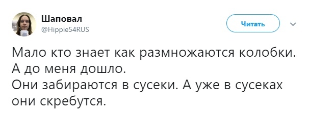 Все, понятно. - Сказка, Колобок, Тайна раскрыта