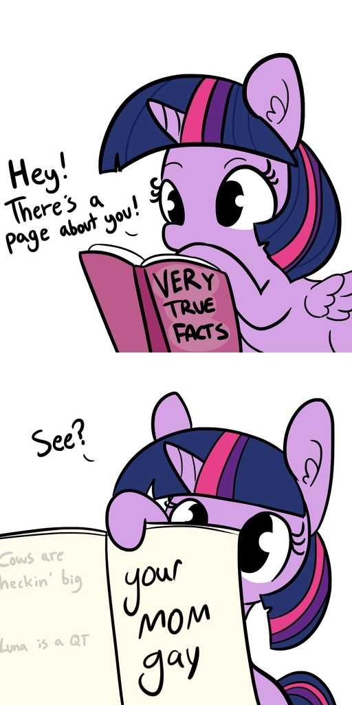 Book of facts. - My little pony, Twilight sparkle