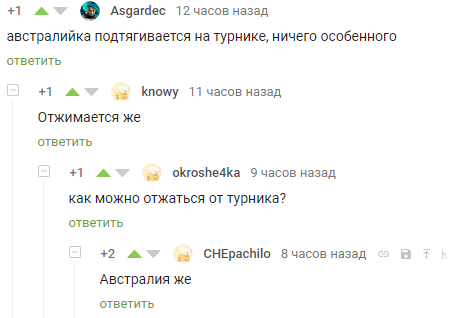 Австралийский турник