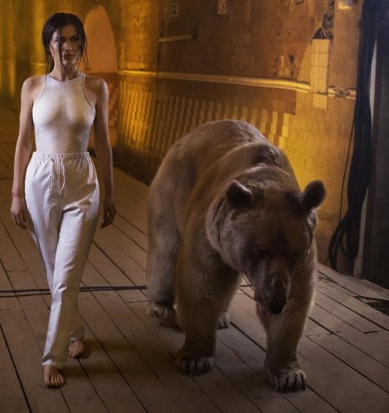 With a bear - NSFW, Strawberry, Boobs, Booty, Girls, Bear, Longpost, Paris Hilton, The Bears