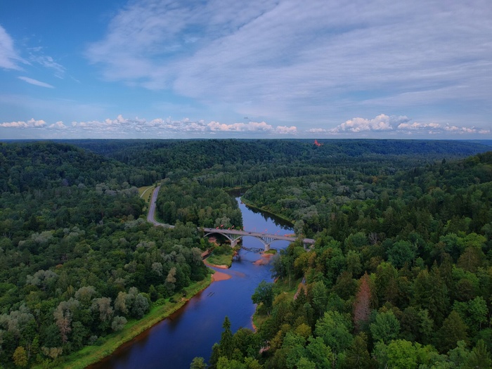 Sigulda. Bridge over the river Gauja. - My, Beginning photographer, Latvia, Bridge, Nature, DJI Spark, Drone, Quadcopter, Aerial photography