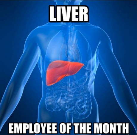 And so every month... - Liver, Combating alcoholism, , Skis, Picture with text, English language, Rise