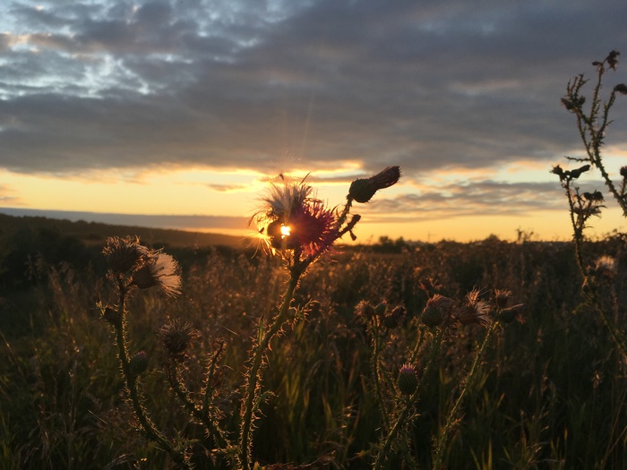 August sunset - My, iPhone, Sunset, Without processing