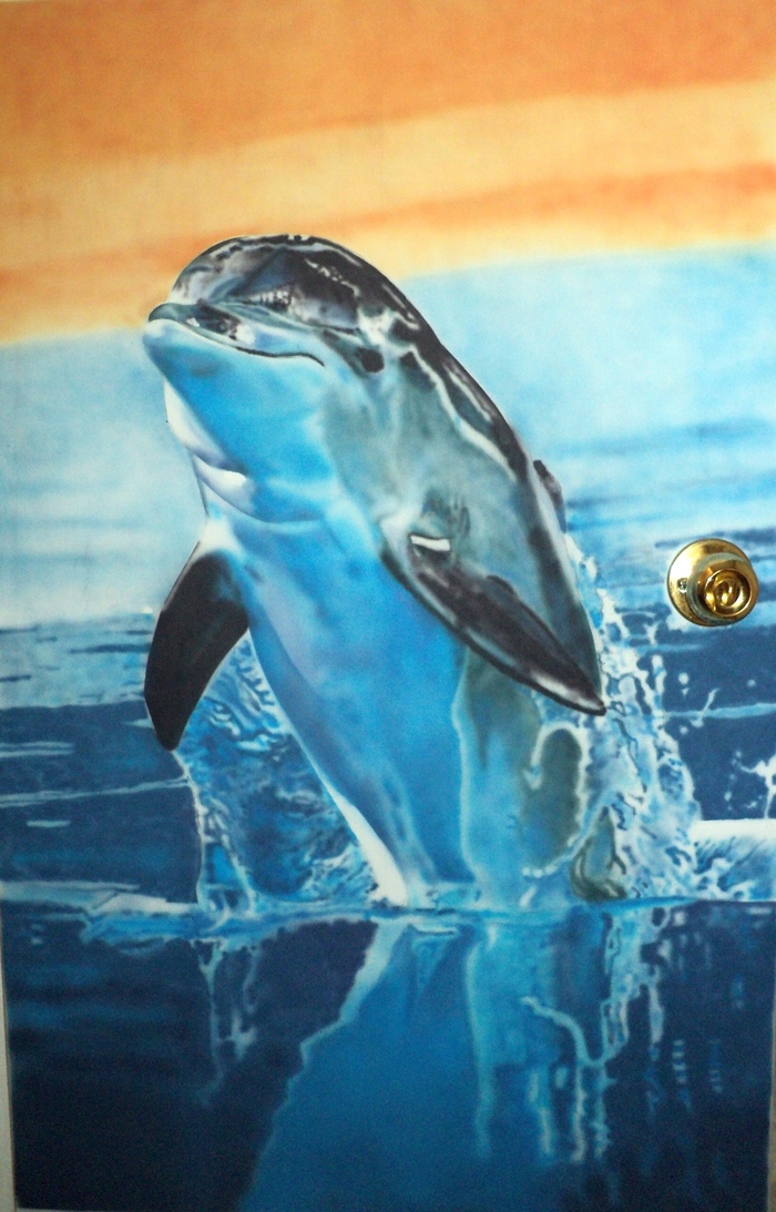 Dolphin - My, Dolphin, Airbrushing, Door