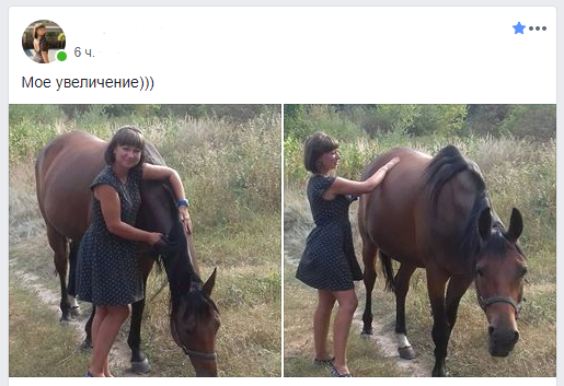 Horse enlargement (see photo without SMS) - Error, Enthusiasm, Increase, Грамматика