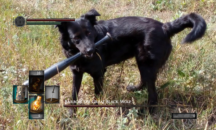 BarBoss - My, Dark souls, Sif, Dog, Photoshop master