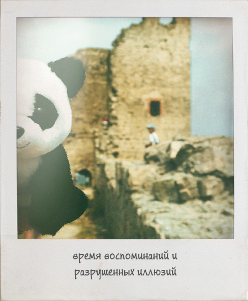 panda travel - My, Panda, Toys, Travels, , Interesting, Longpost