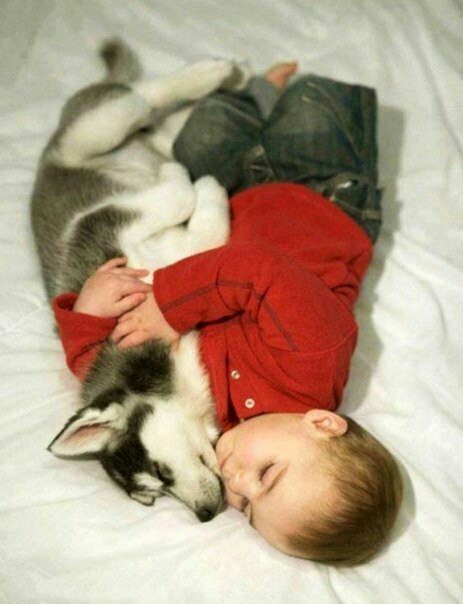 Where does friendship begin? - Children, Pet, Love, friendship, Longpost, Pets